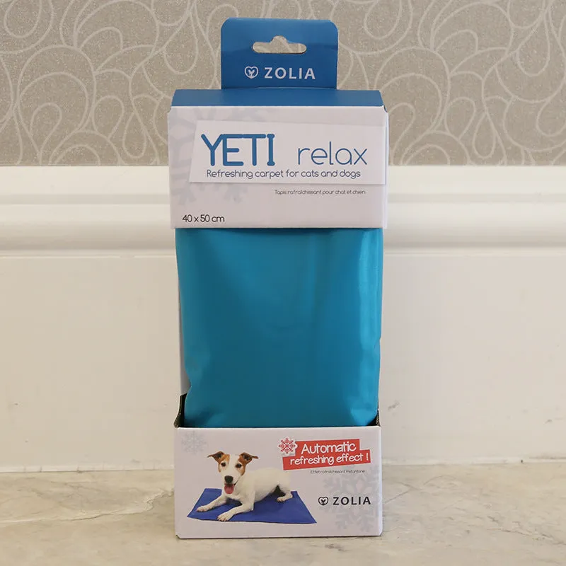 19 Spring/Summer PVC Pet Cooling Mat with Multiple Sizes and Color Boxes
