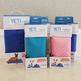 19 Spring/Summer PVC Pet Cooling Mat with Multiple Sizes and Color Boxes