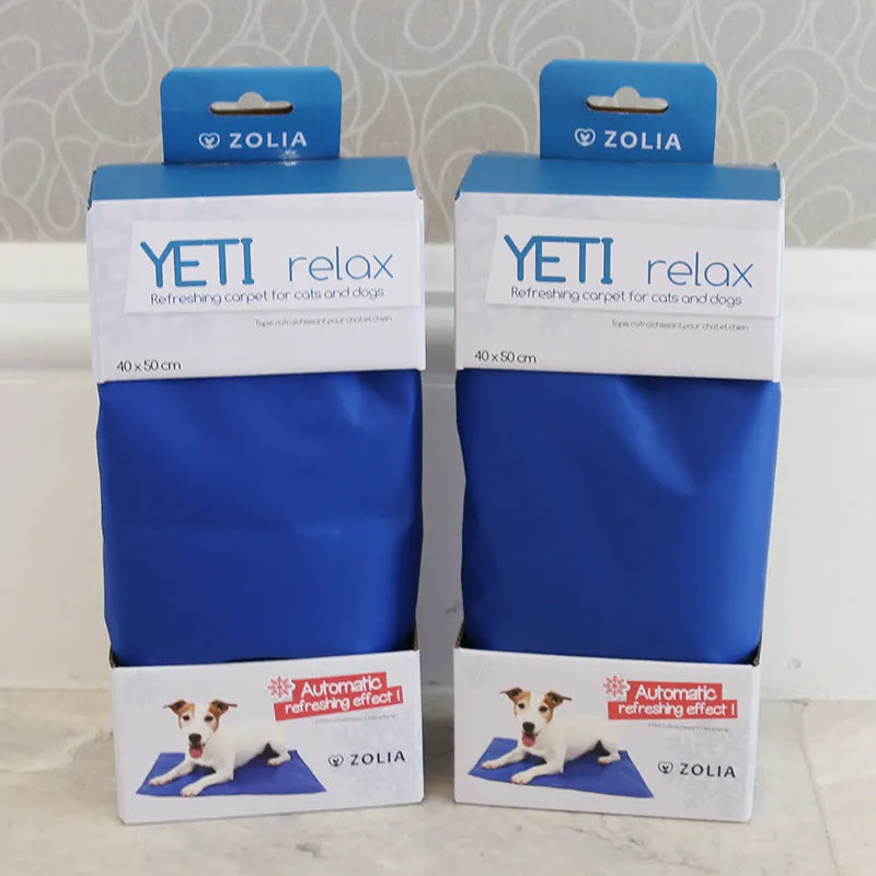 19 Spring/Summer PVC Pet Cooling Mat with Multiple Sizes and Color Boxes