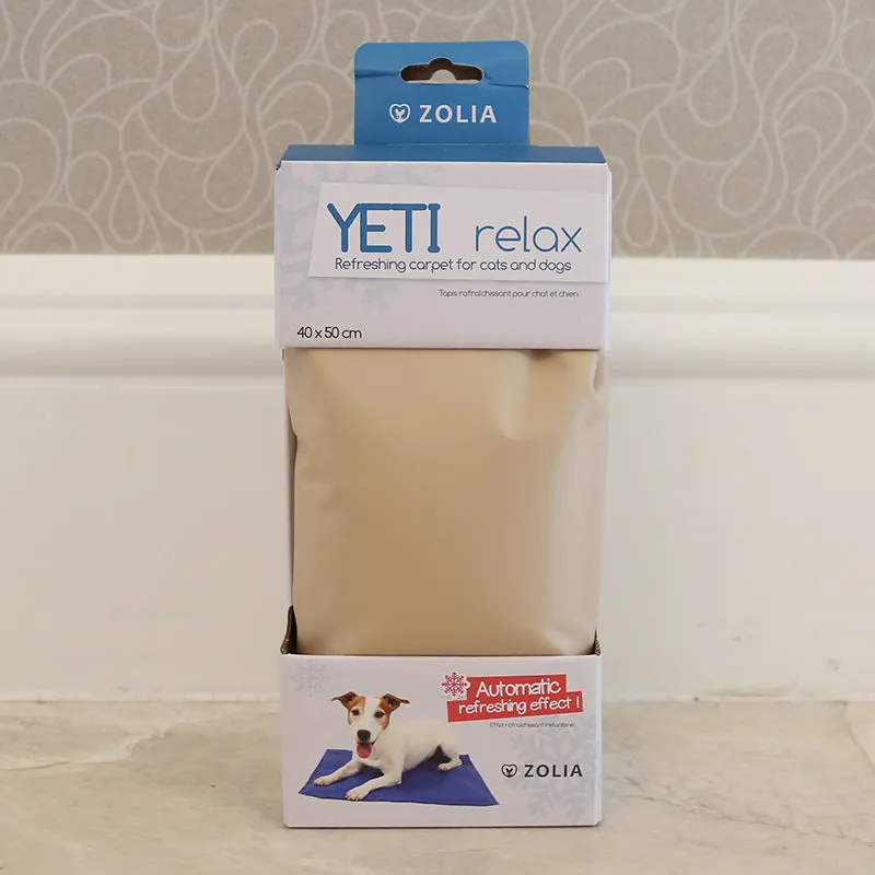 19 Spring/Summer PVC Pet Cooling Mat with Multiple Sizes and Color Boxes