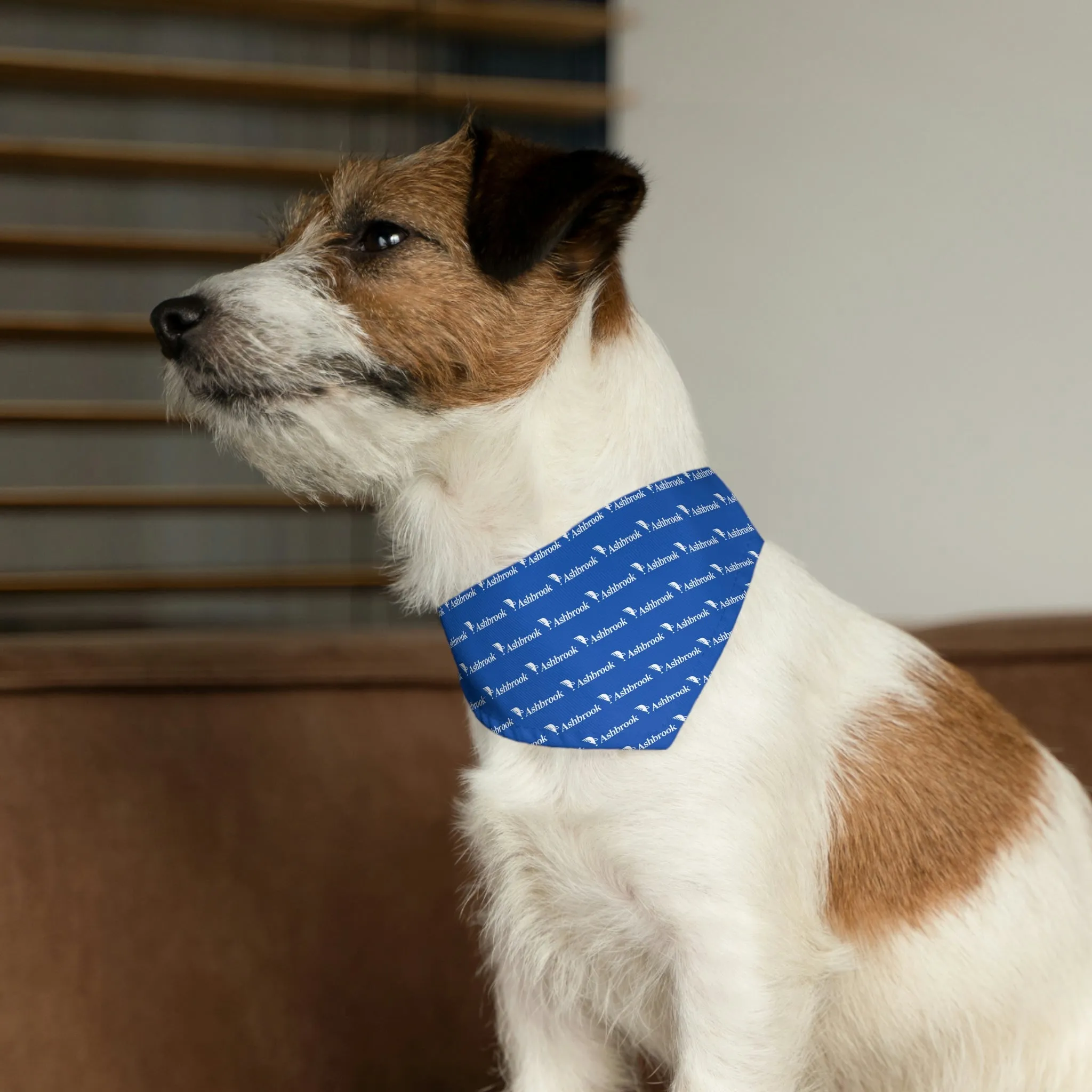 Ashbrook Pet Bandana Collar