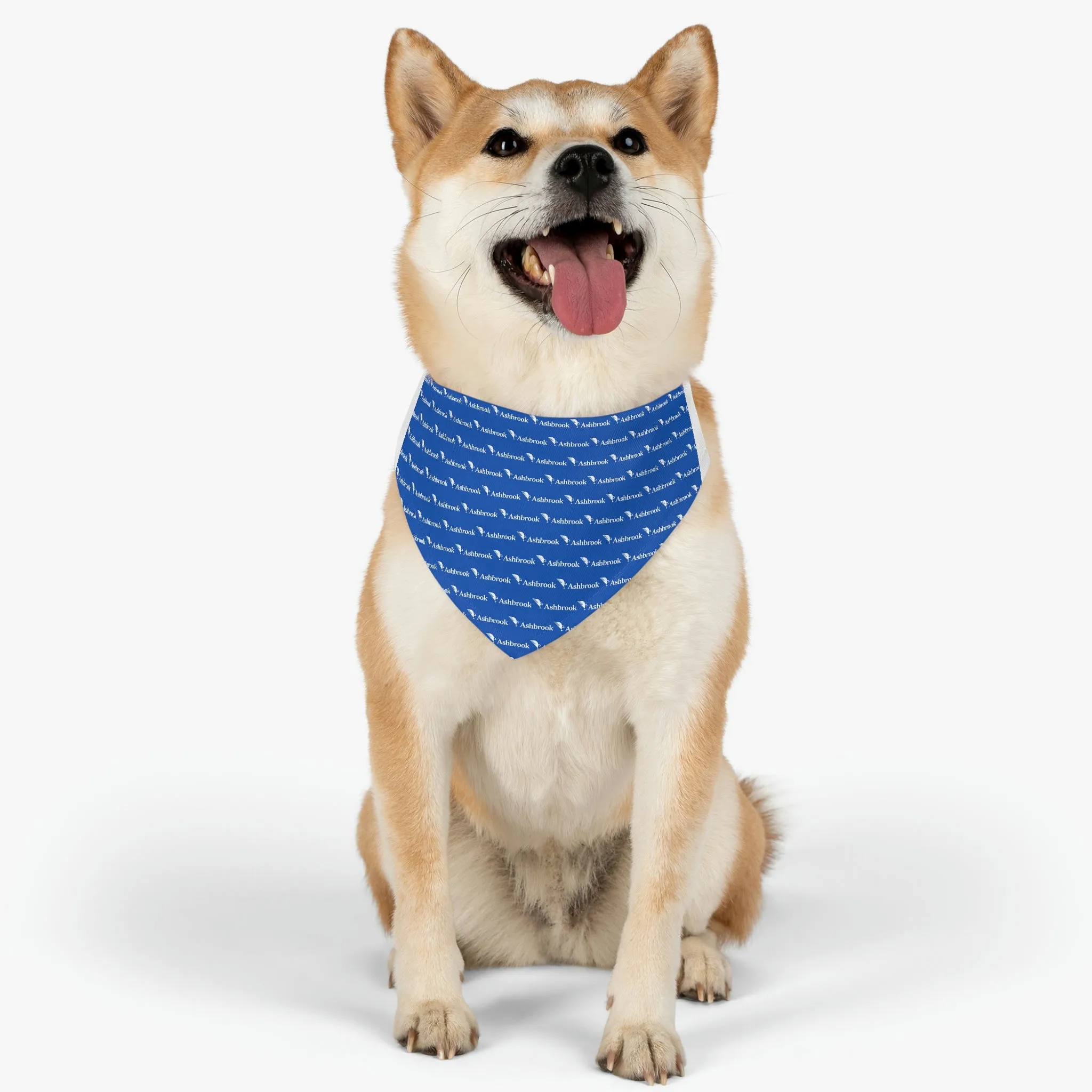 Ashbrook Pet Bandana Collar