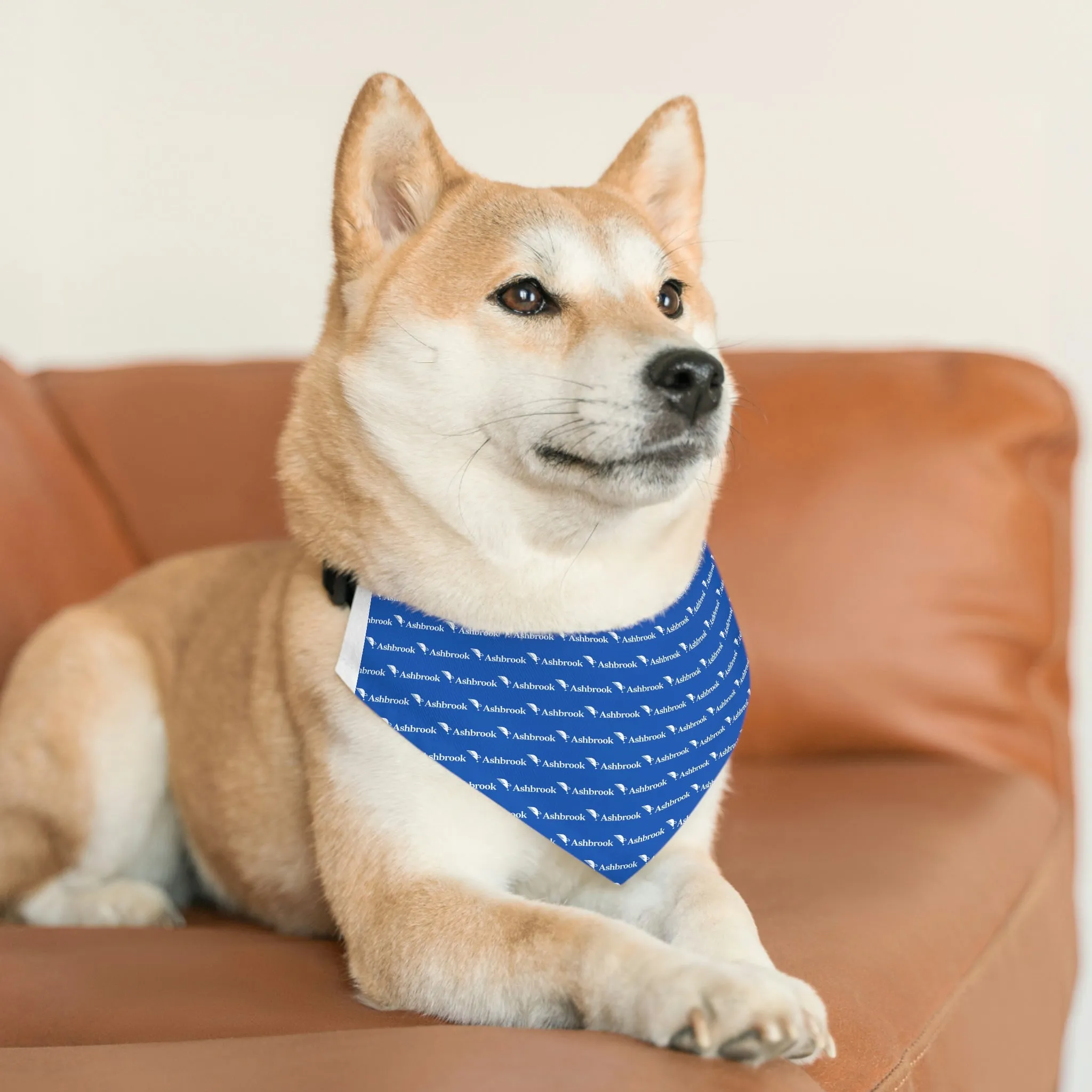 Ashbrook Pet Bandana Collar