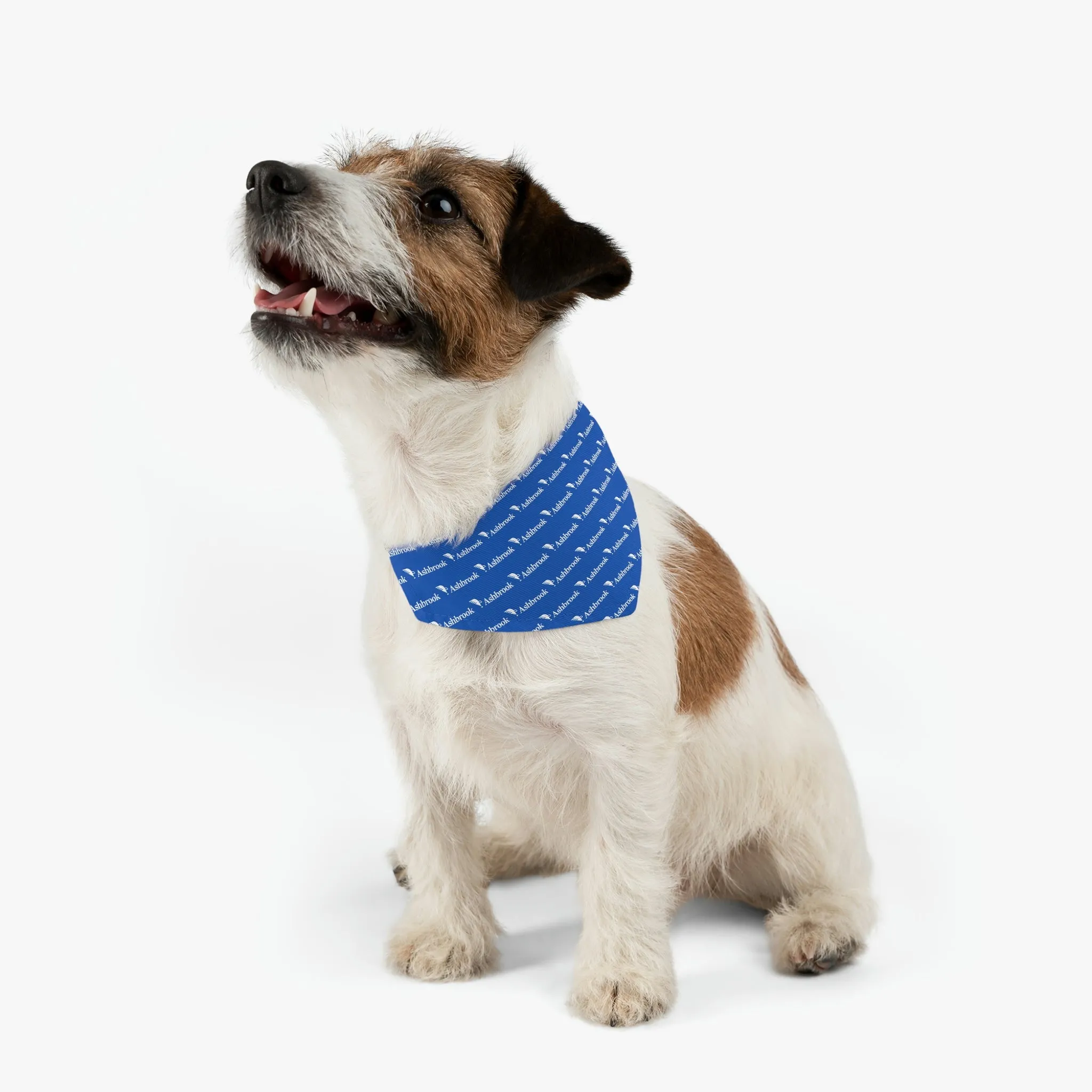 Ashbrook Pet Bandana Collar