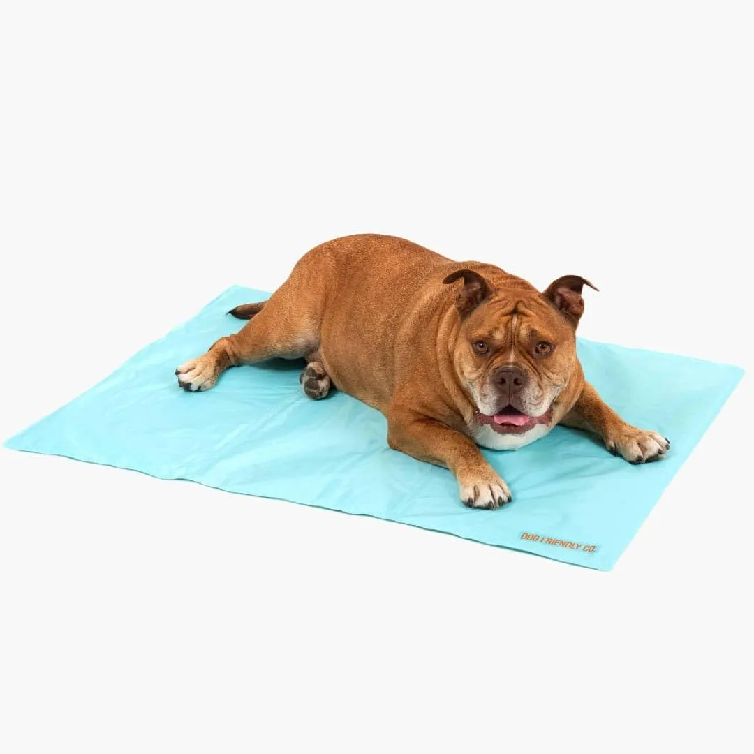 DF Co. Dog Cooling Mat for Summer | Automatic Cooling, Easily Foldable, Non-Toxic Gel Interior | Sky Blue, Size L
