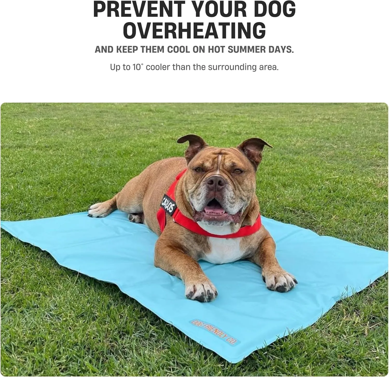 DF Co. Dog Cooling Mat for Summer | Automatic Cooling, Easily Foldable, Non-Toxic Gel Interior | Sky Blue, Size L