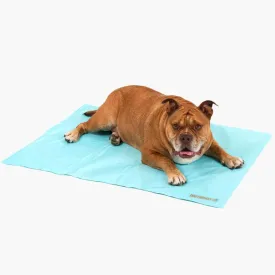 DF Co. Dog Cooling Mat for Summer | Automatic Cooling, Easily Foldable, Non-Toxic Gel Interior | Sky Blue, Size L