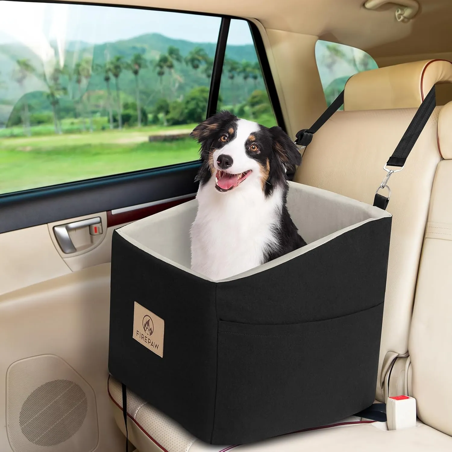 Dog Car Seat for Small Dogs 25 lbs, Memory Foam Booster Dog Car Seat with Washable Removable Cover, Dog Booster Seats with Dog Seat Belt, Black Elevated Pet Car Seat