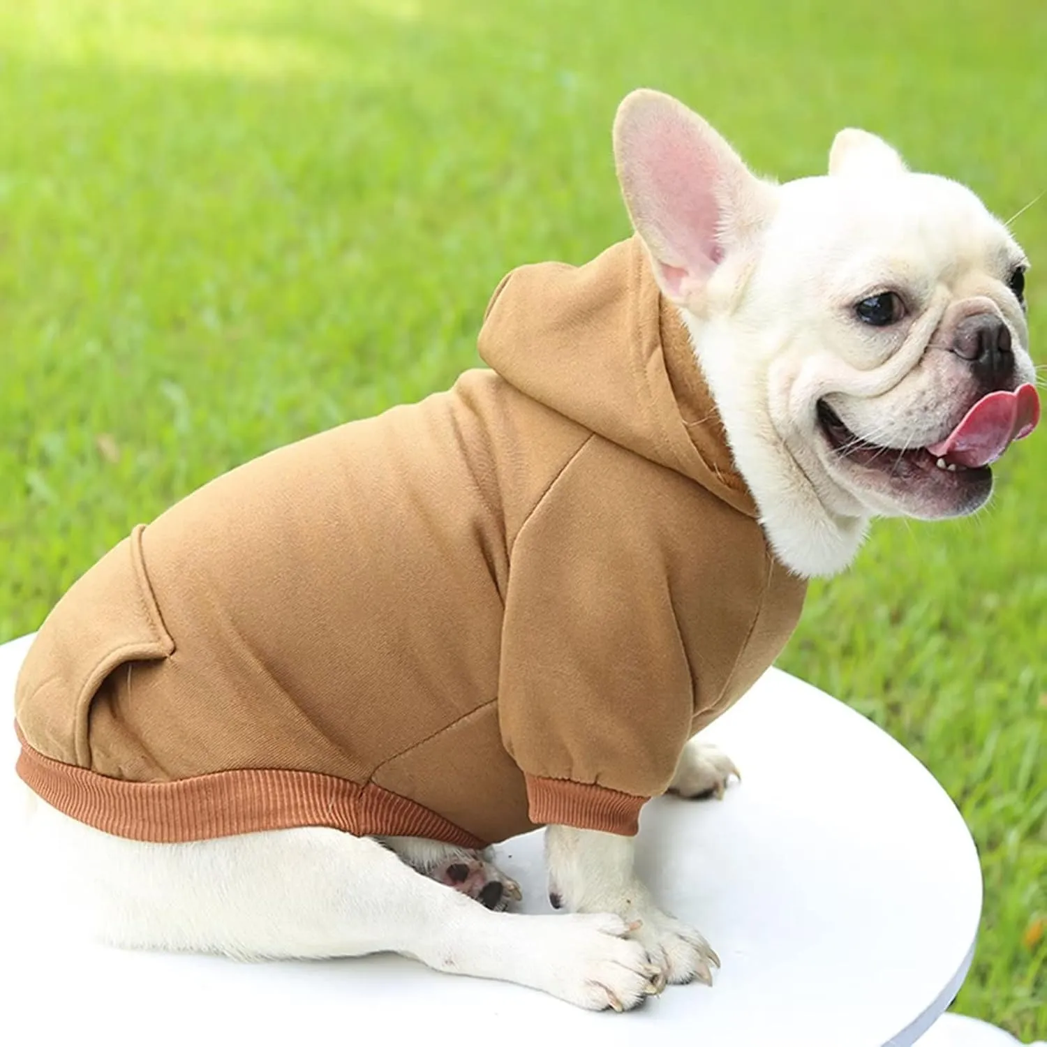 Dog Hoodie with Pocket Pet Warm Sweater for Small Dogs Puppy Coat Brown L