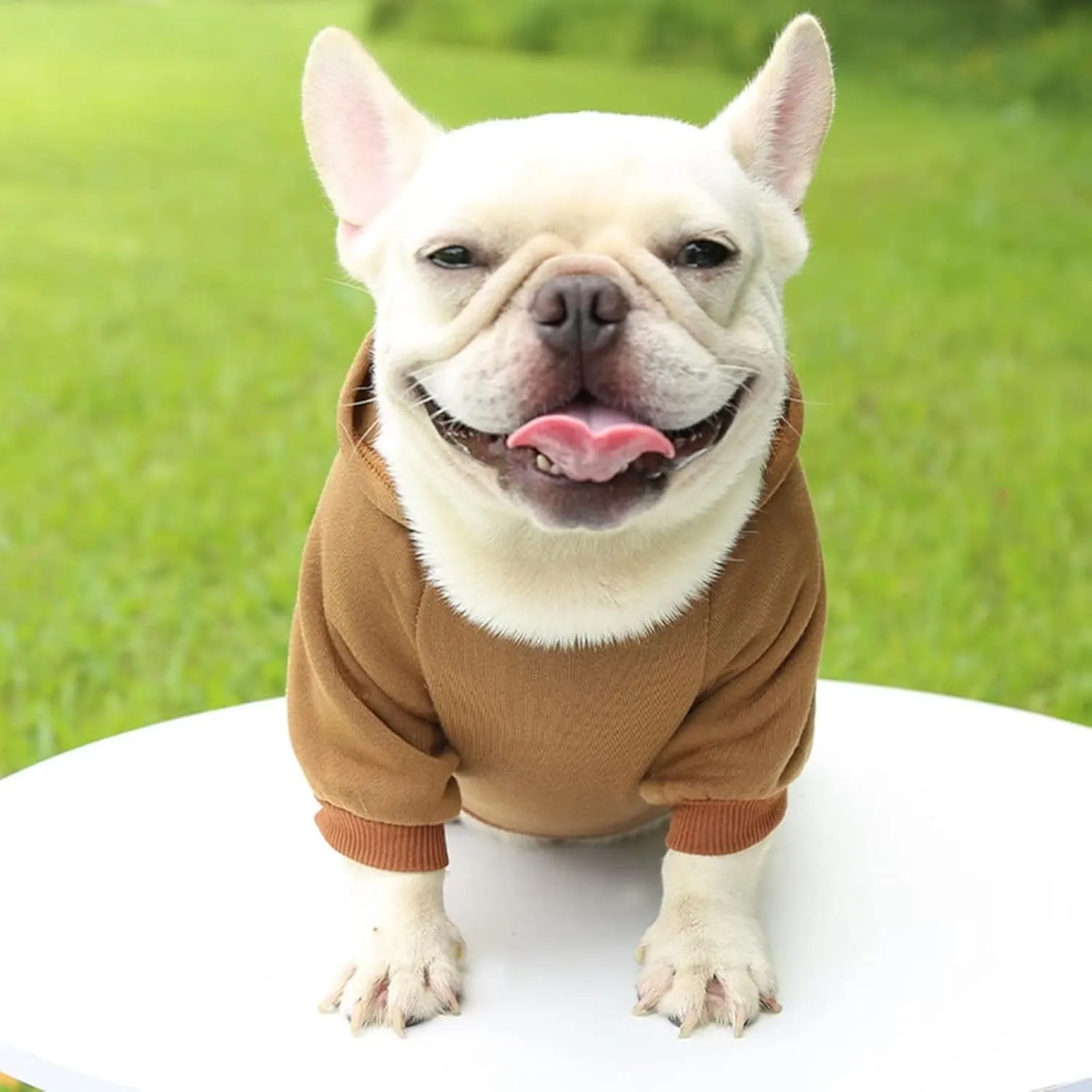 Dog Hoodie with Pocket Pet Warm Sweater for Small Dogs Puppy Coat Brown L