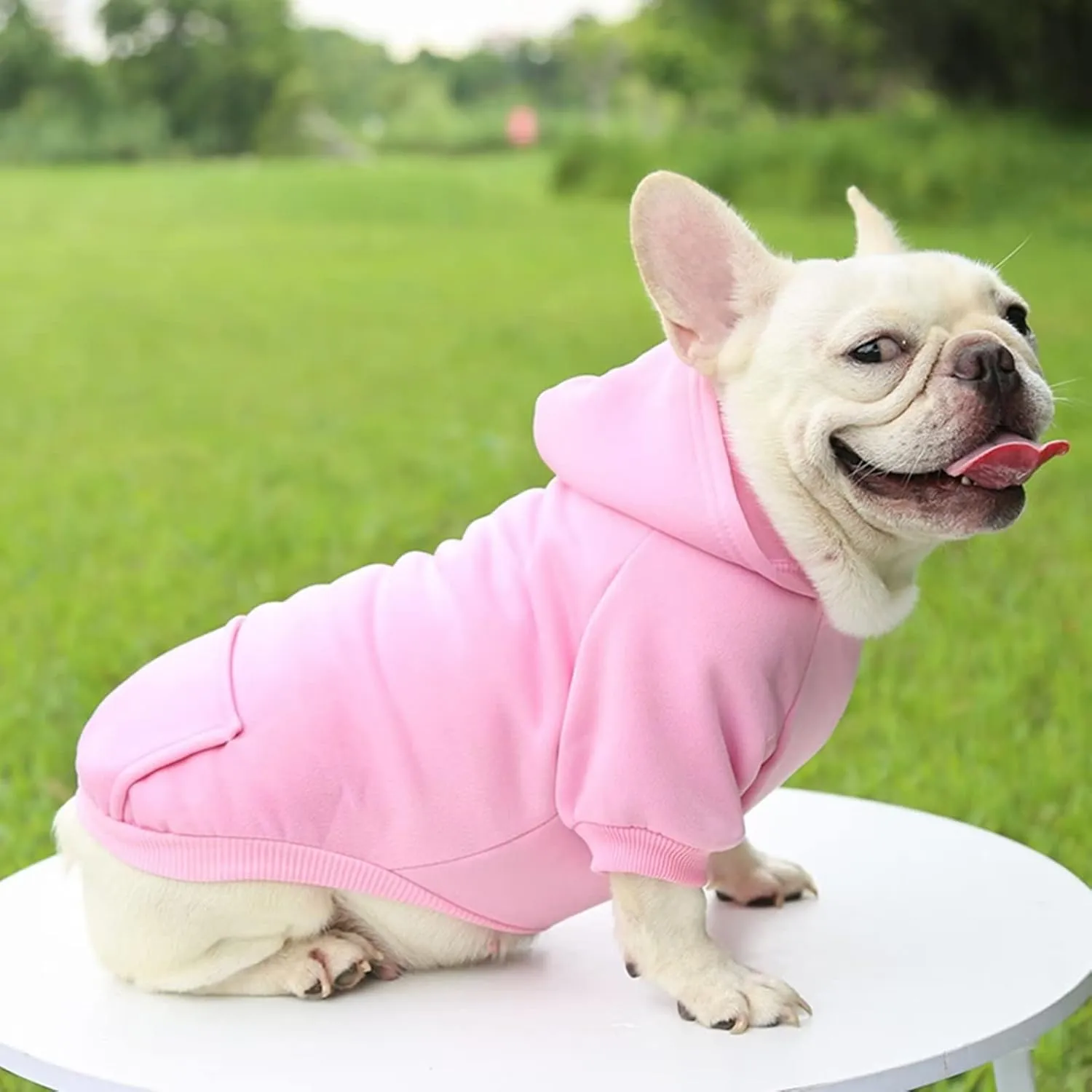 Dog Hoodie with Pocket Pet Warm Sweater for Small Dogs Puppy Coat Pink M