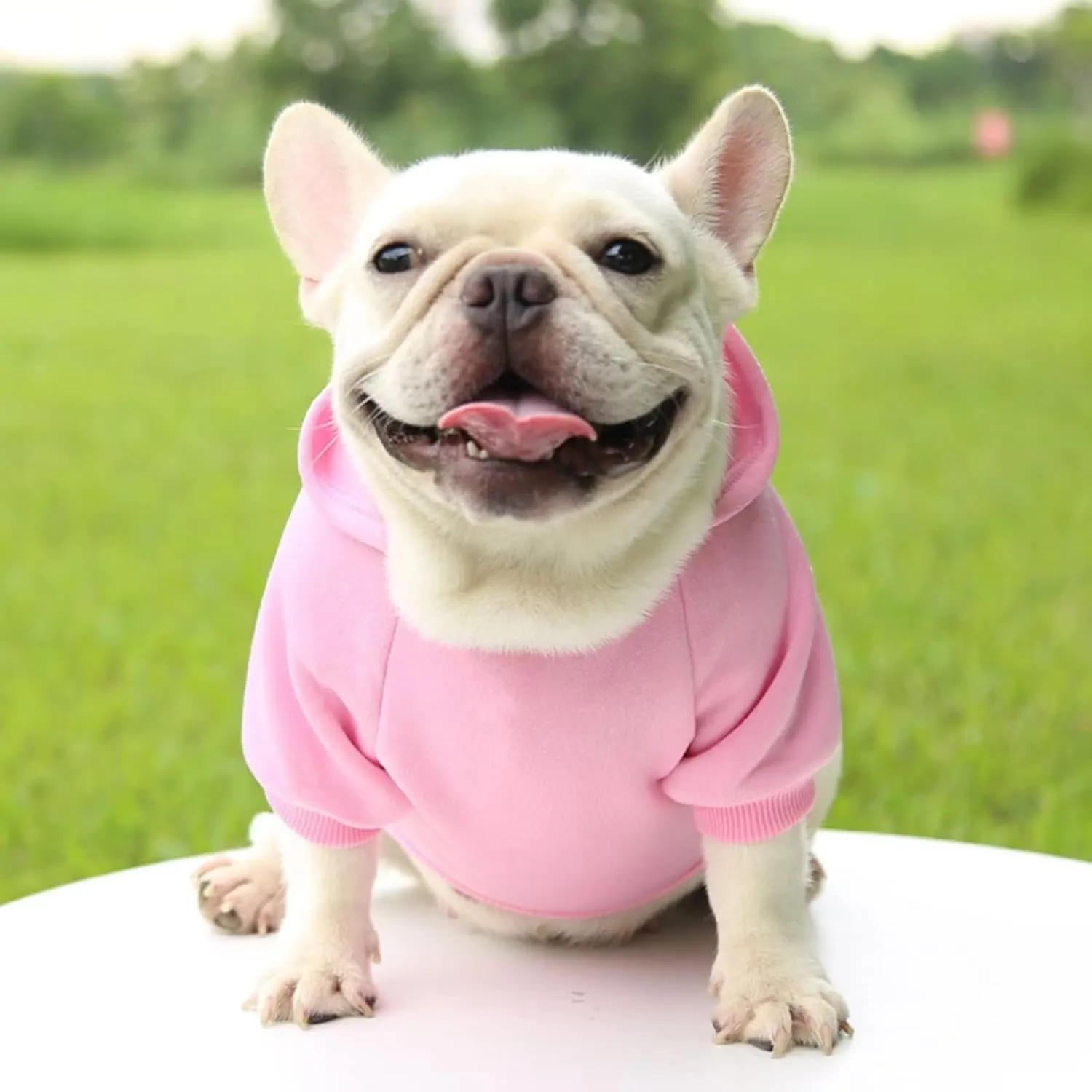 Dog Hoodie with Pocket Pet Warm Sweater for Small Dogs Puppy Coat Pink M