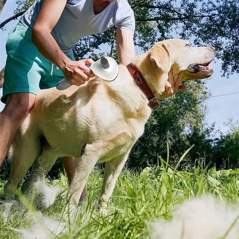 Easy Self-Cleaning Pet Hair Remover Brush for Dogs/Cats/Rabbits. Great for De-matting Pets Hair.