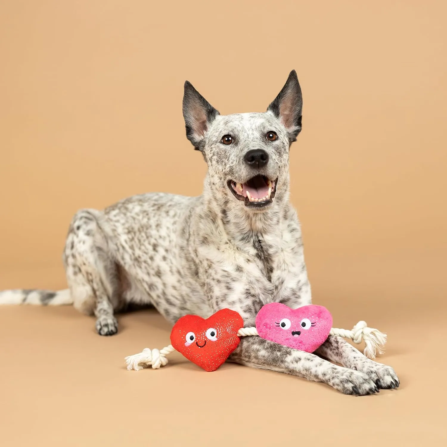 Fringe Studio Plush Dog Toy with Rope, CANT BE AP-Heart, Petshop Collection (314494)