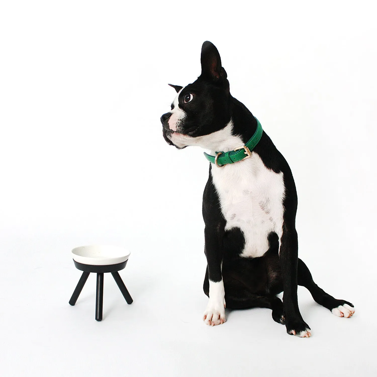 Oreo Pet Table with Bowl - Tall