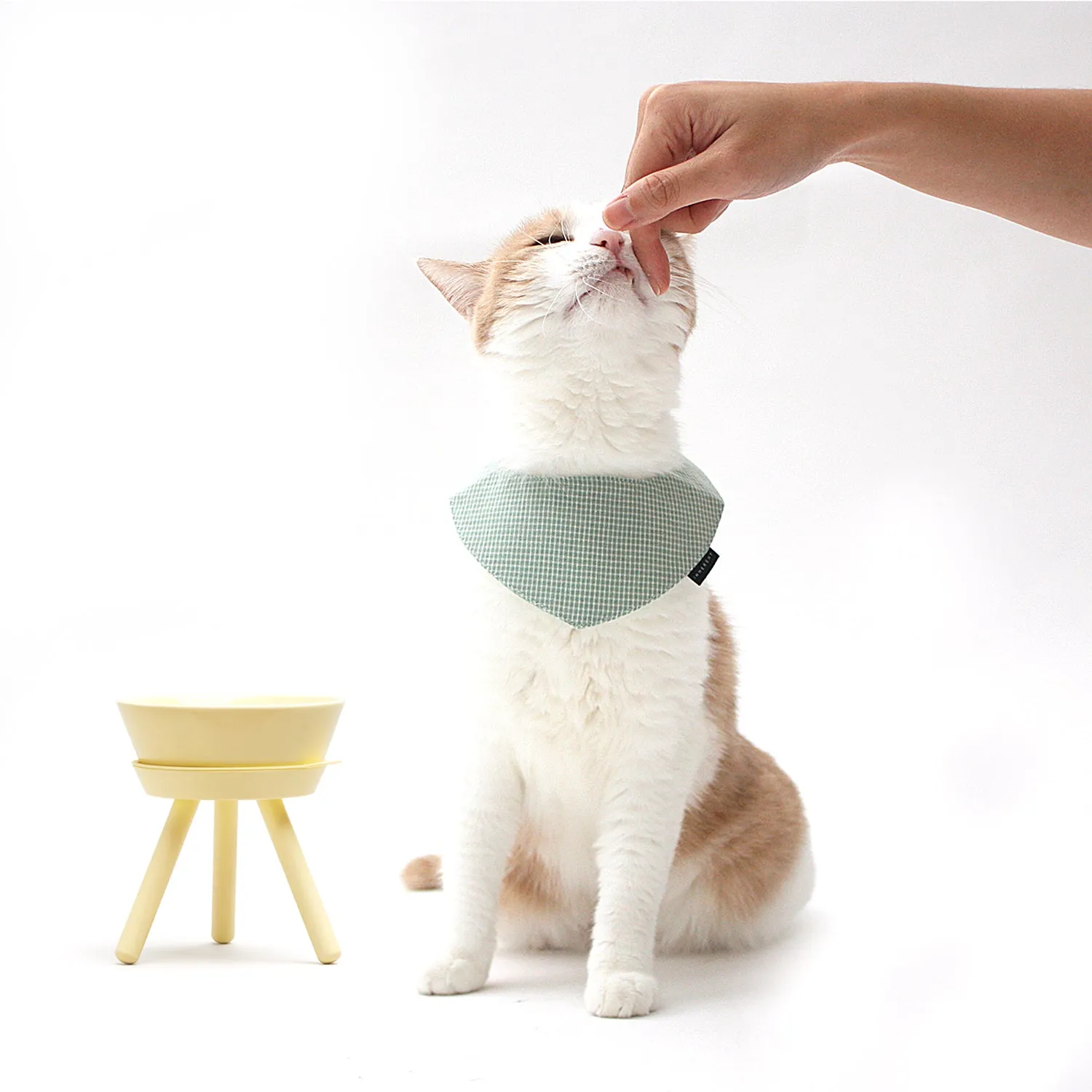 Oreo Pet Table with Bowl - Tall