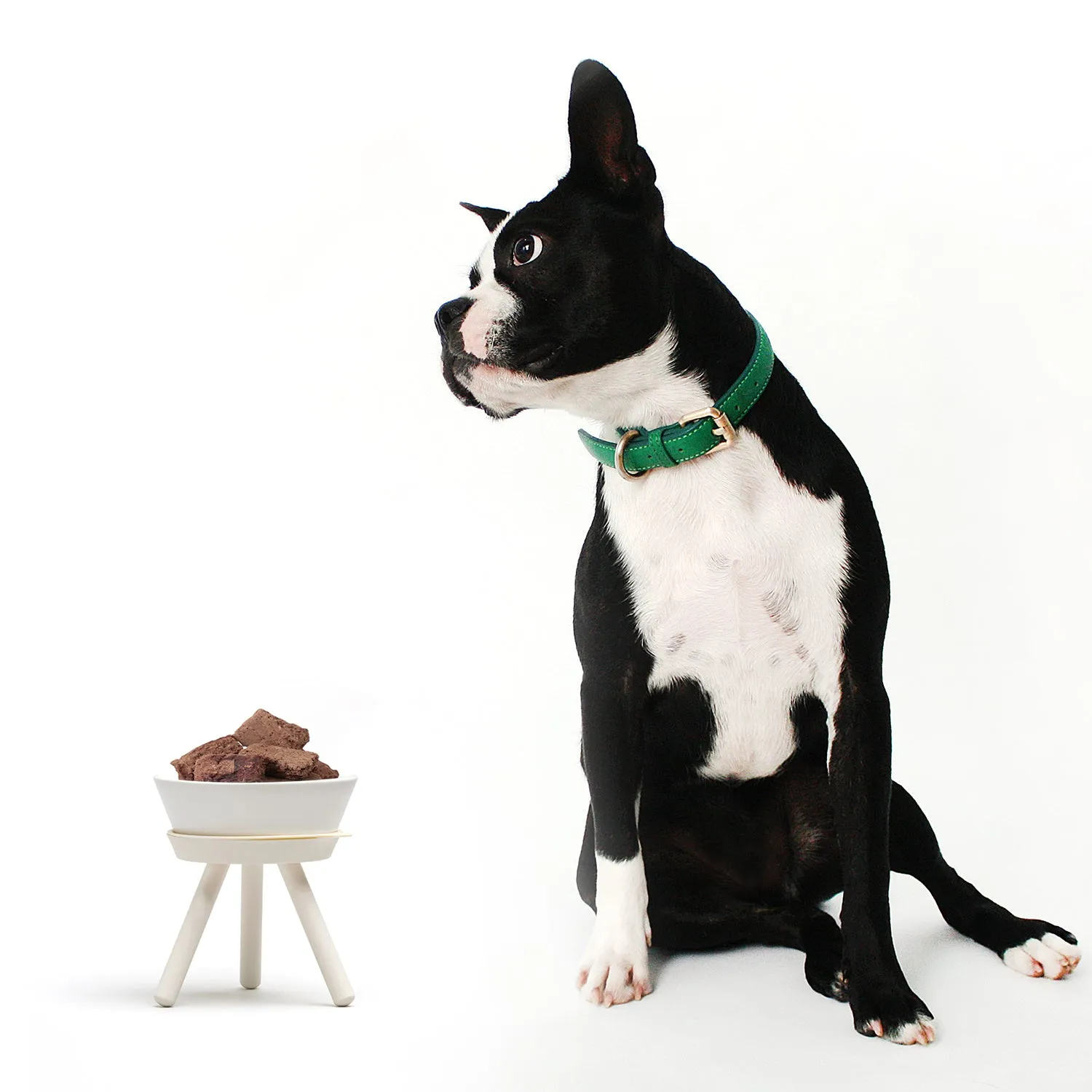 Oreo Pet Table with Bowl - Tall