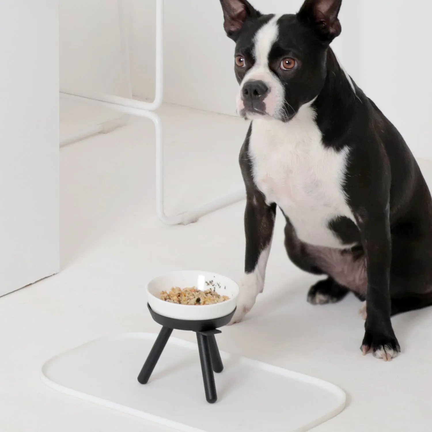 Oreo Pet Table with Bowl - Tall
