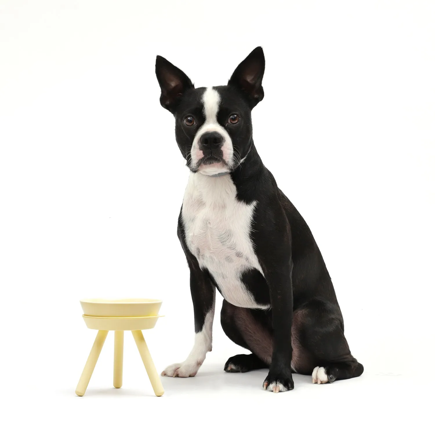 Oreo Pet Table with Bowl - Tall