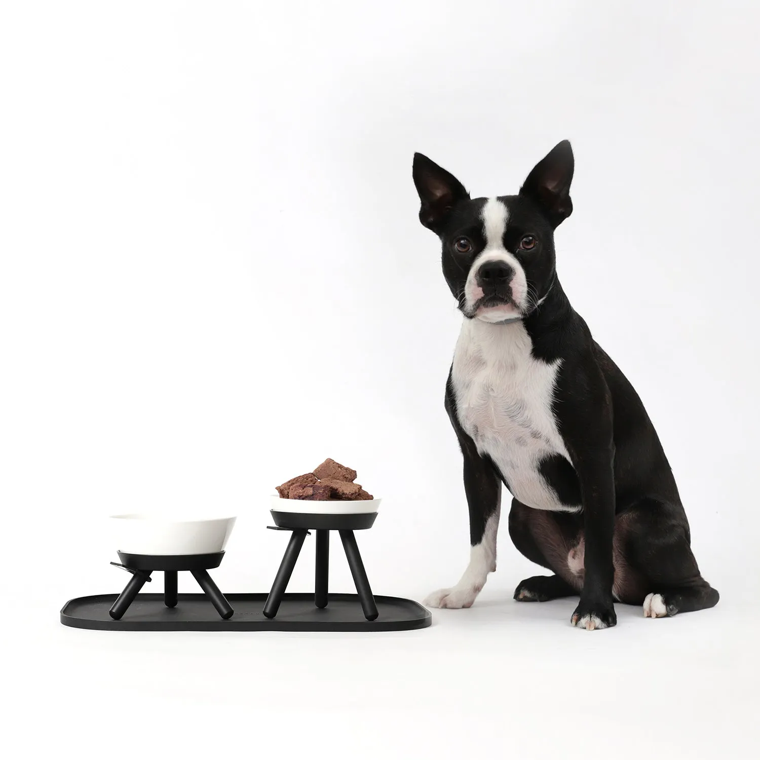 Oreo Pet Table with Bowl - Tall