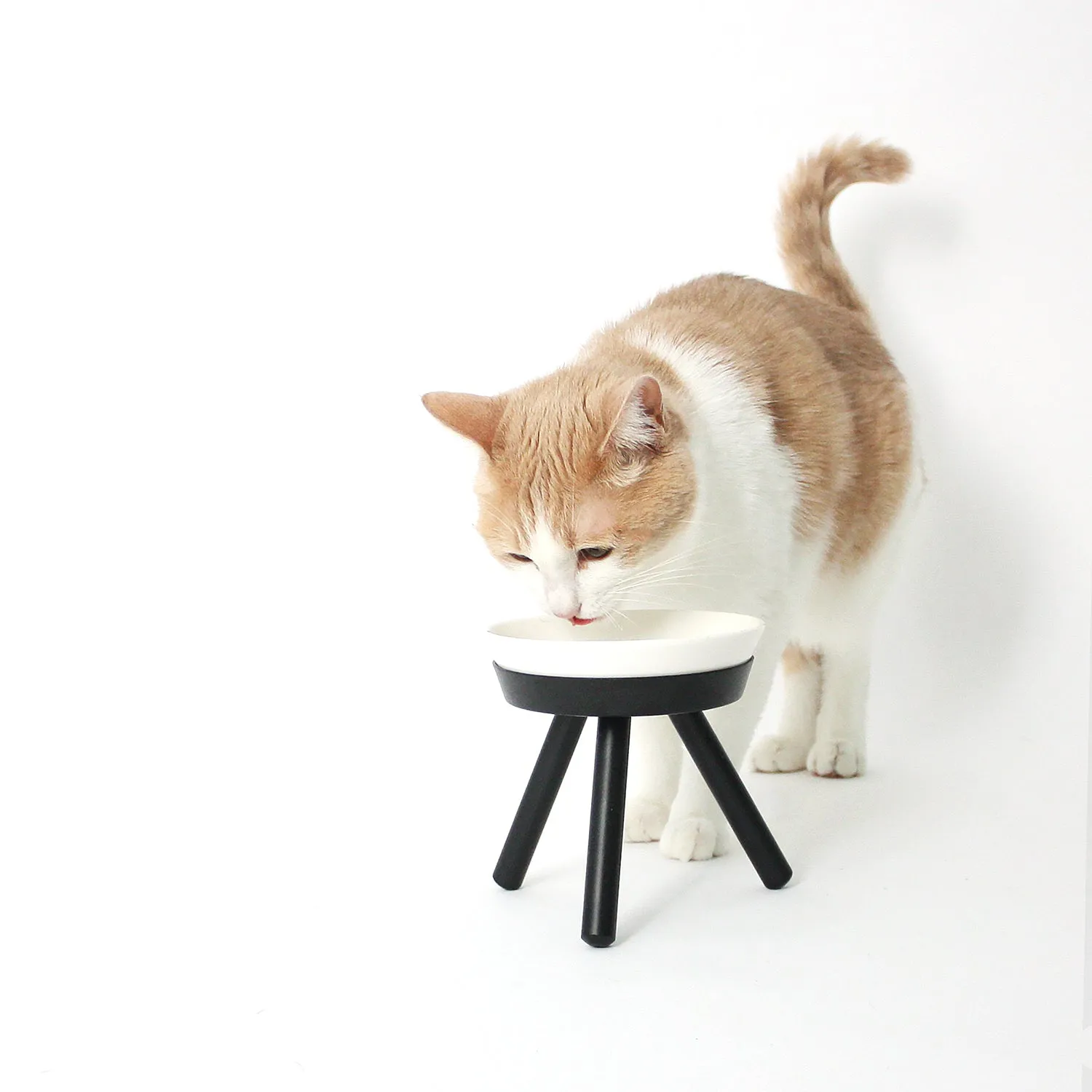 Oreo Pet Table with Bowl - Tall