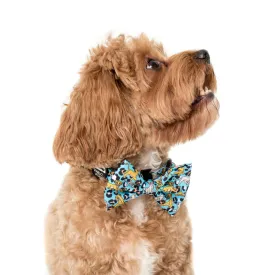 Pablo & Co The Lion King: Bow Tie