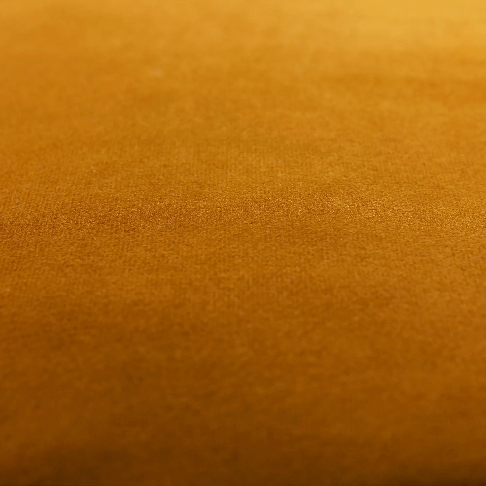 Ploov | 25x60 Velvet - Ginger Gold
