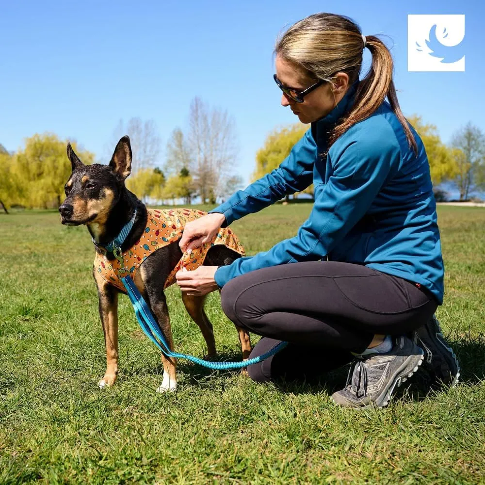 RC Pet Products Zephyr Cooling Vest, Extra Extra Small, Aqua (Large, Waves)