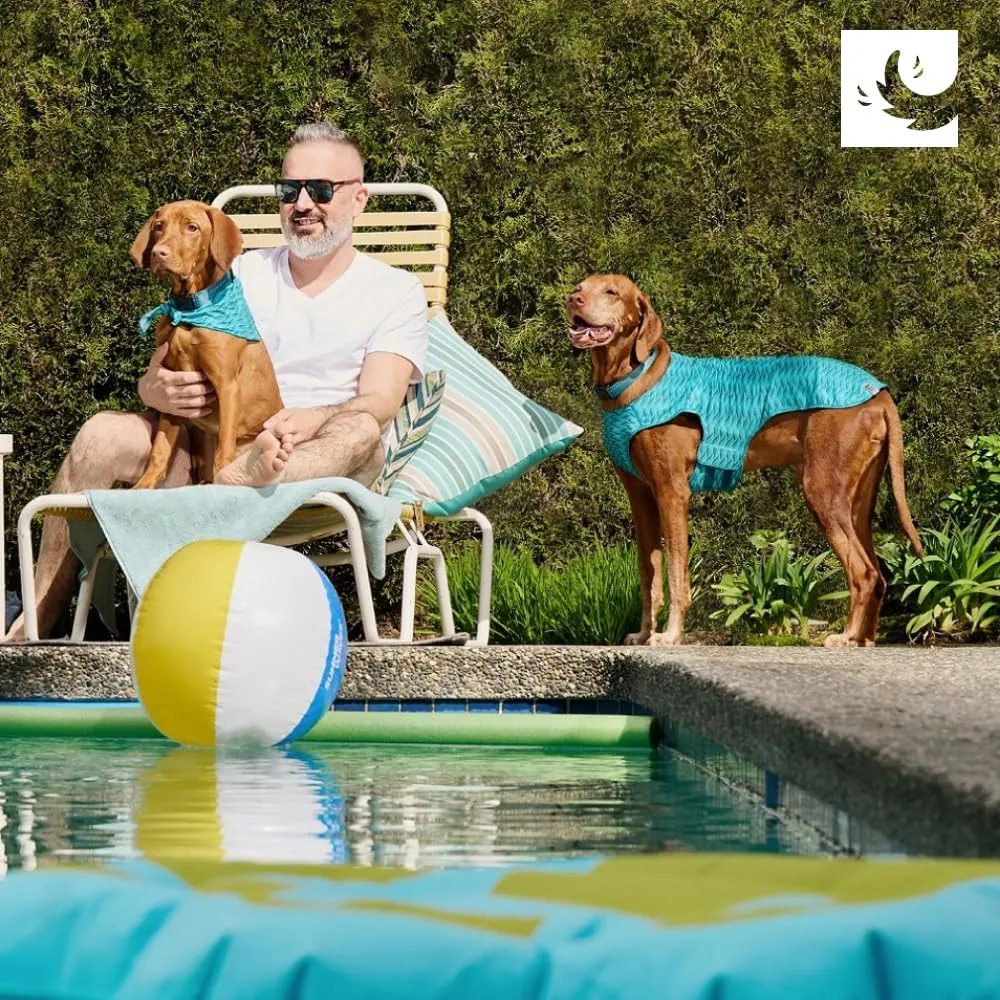 RC Pet Products Zephyr Cooling Vest, Extra Extra Small, Aqua (Large, Waves)