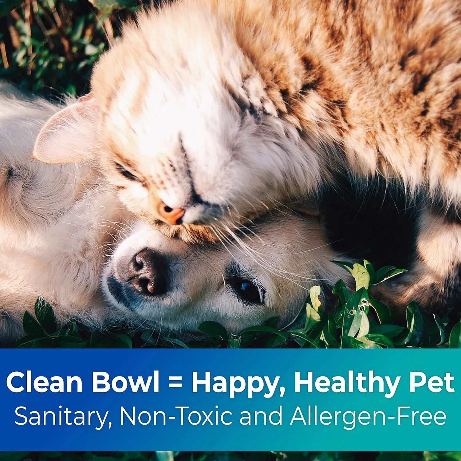 Vet-Grade, Biodegradable and Disposable Pet Bowls Bulk 50 Pk 8 Oz/1 Cup. Safe, Non-Toxic Food and Water Dishes for Puppies, Small Dogs or Cats. Convenient, Sturdy and Leakproof for Your Healthy Pets!