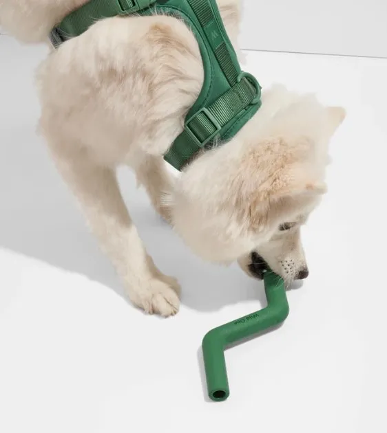 Wild One Bolt Bite Dog Chew Toy (Spruce)
