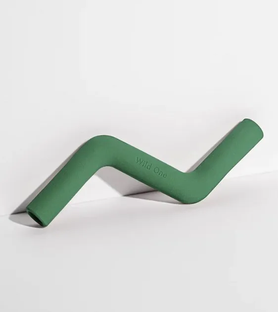 Wild One Bolt Bite Dog Chew Toy (Spruce)